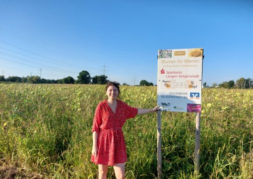 Bienenwiese 2025 – Danke für 5 Jahre Unterstützung